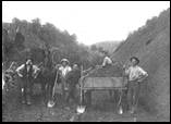 Road Builders at Puketiro