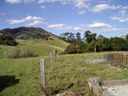 A grassy field with trees and a hill in the background

AI-generated content may be incorrect.