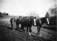 A person standing next to horses

AI-generated content may be incorrect.